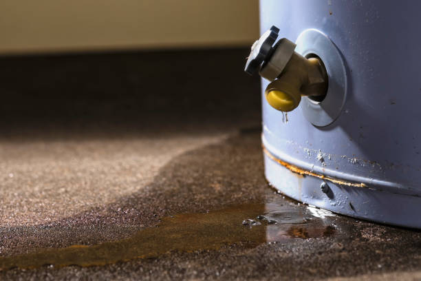 Best Mold removal after water damage  in Naples, UT