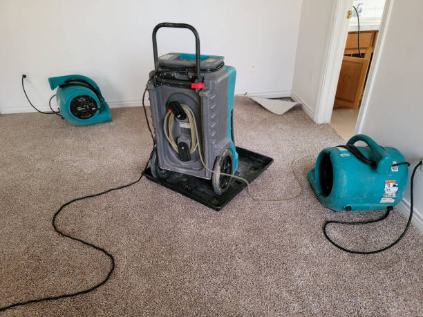 Best Flood restoration services  in Naples, UT