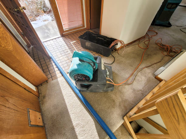 Best Commercial water damage restoration  in Naples, UT