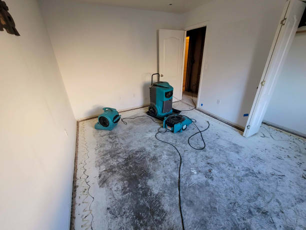 Naples, UT Water damage restoration Company