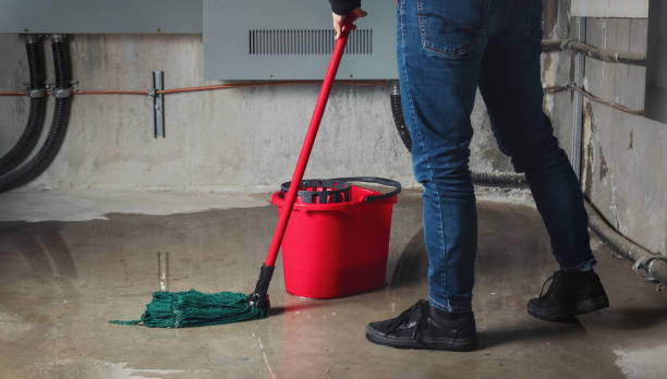 Best Residential water damage restoration  in Naples, UT