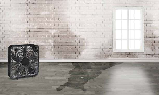 Best Emergency water damage restoration  in Naples, UT