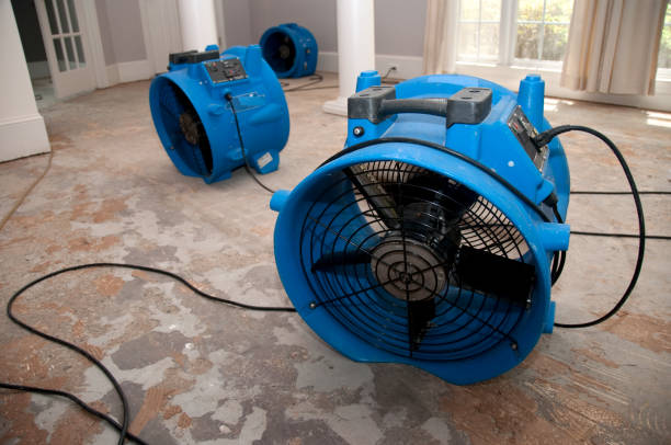 Best Flood damage cleanup  in Naples, UT