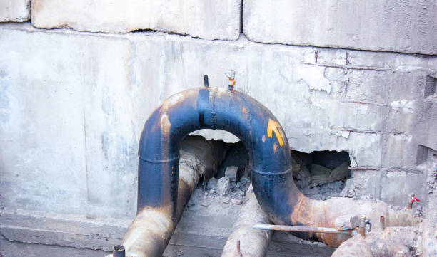 Best Sewage cleanup and water damage restoration  in Naples, UT