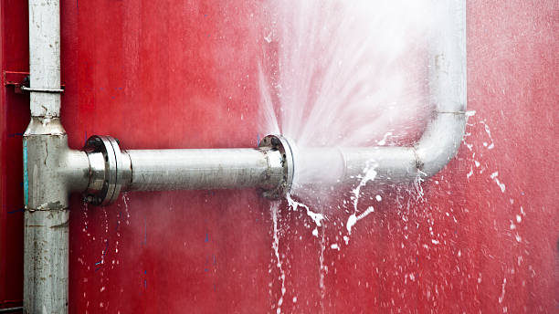 Best Water damage restoration near me  in Naples, UT